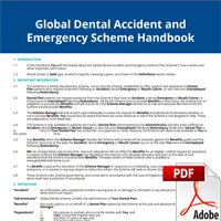 Global Dental Accident and Emergency Handbook